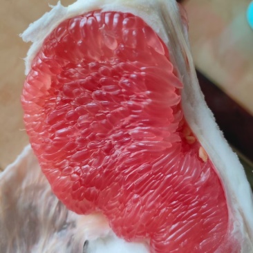 霞浦红柚大量上市，货源充足，皮薄多汁，欢迎老板来选购。