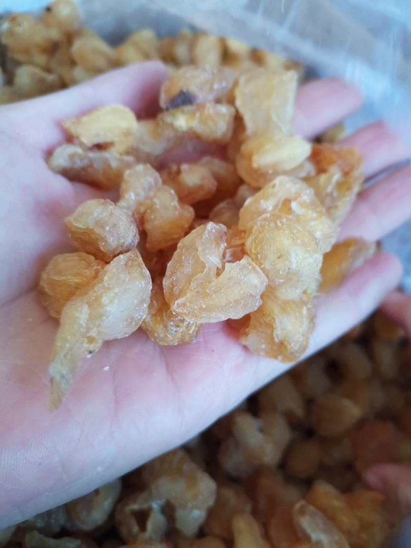 桂圆肉中药材桂圆肉无糖纯干货
