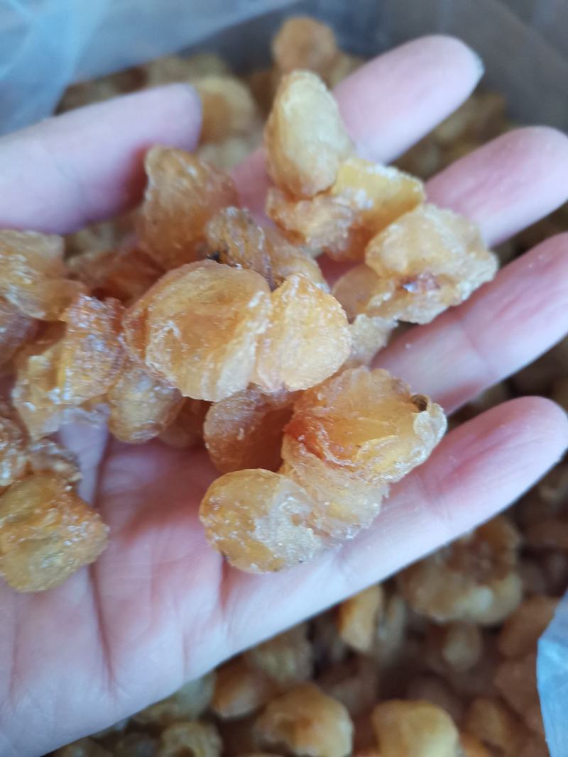 桂圆肉中药材桂圆肉无糖纯干货