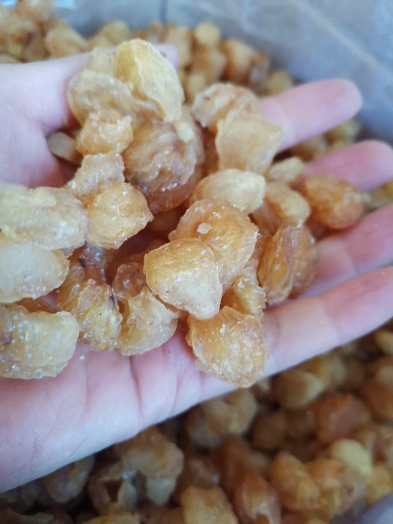 桂圆肉中药材桂圆肉无糖纯干货