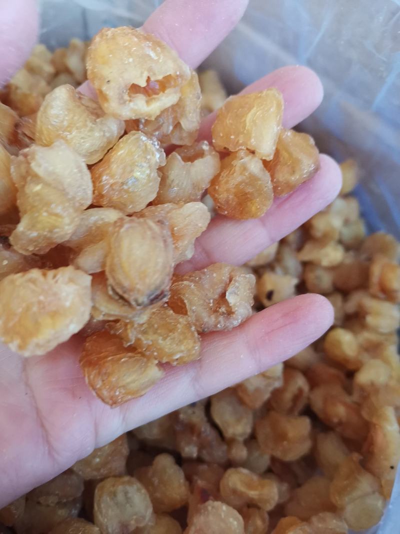 桂圆肉中药材桂圆肉无糖纯干货