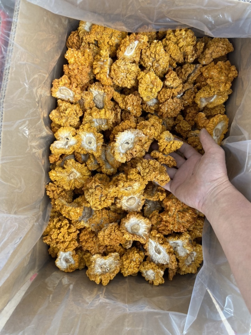 云南金耳黄耳产地直销