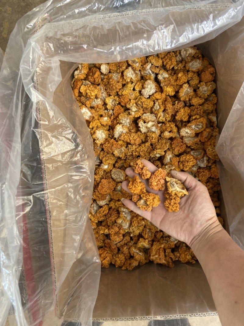 云南金耳黄耳产地直销
