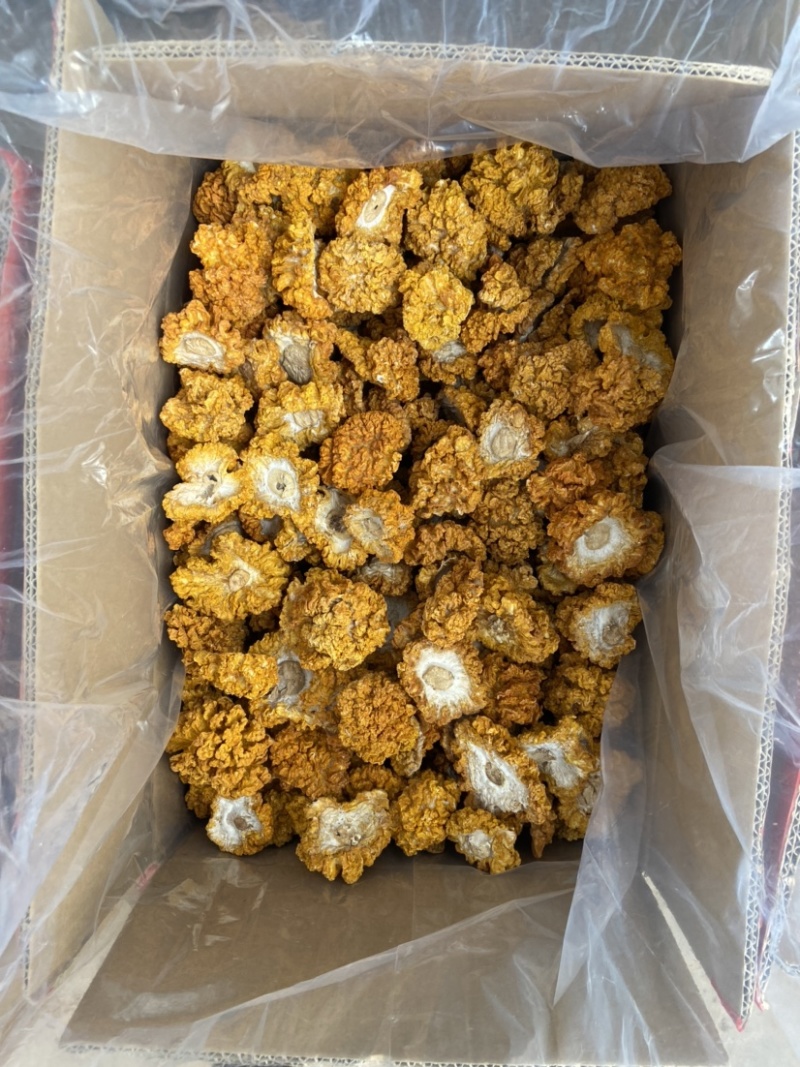 云南金耳黄耳产地直销