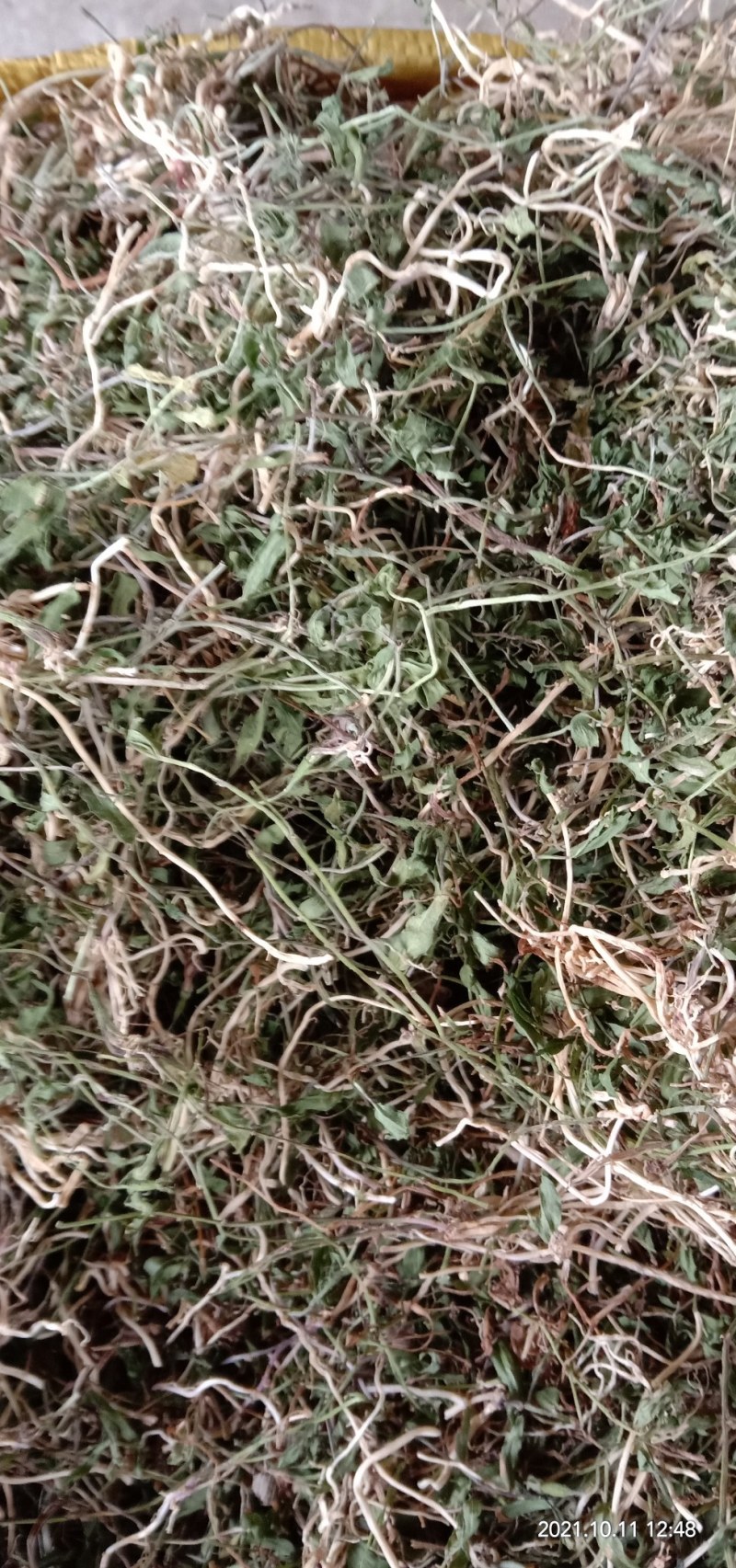 半边莲，新货上市质量保证，颜色青