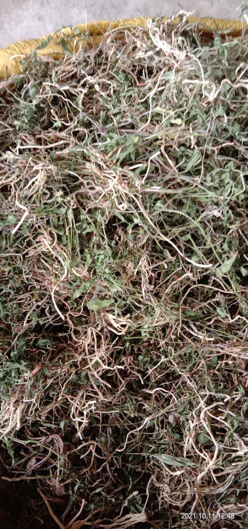 半边莲，新货上市质量保证，颜色青