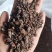 【文斌药业】没药炙没药。新货促销量大从优地道药材
