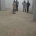 三年桐优良品种，买油桐树苗请选择重庆俊尧专业油桐培育公司