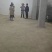 三年桐优良品种，买油桐树苗请选择重庆俊尧专业油桐培育公司