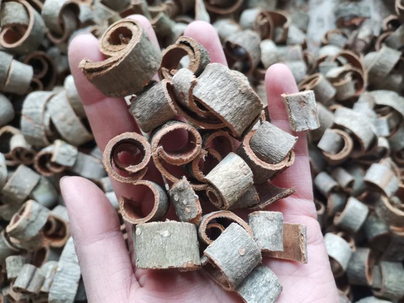 厚朴四川量大从优过筛无沫