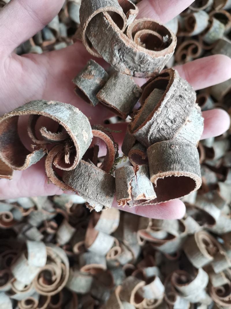 厚朴四川量大从优过筛无沫