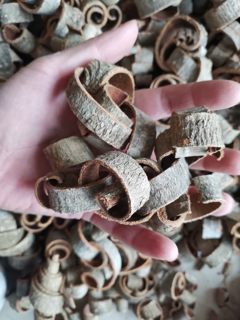 厚朴四川量大从优过筛无沫