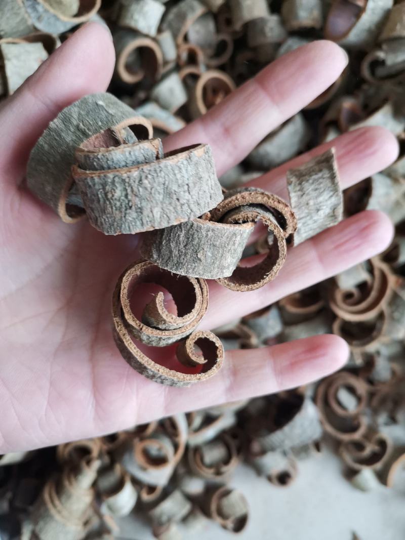 厚朴四川量大从优过筛无沫
