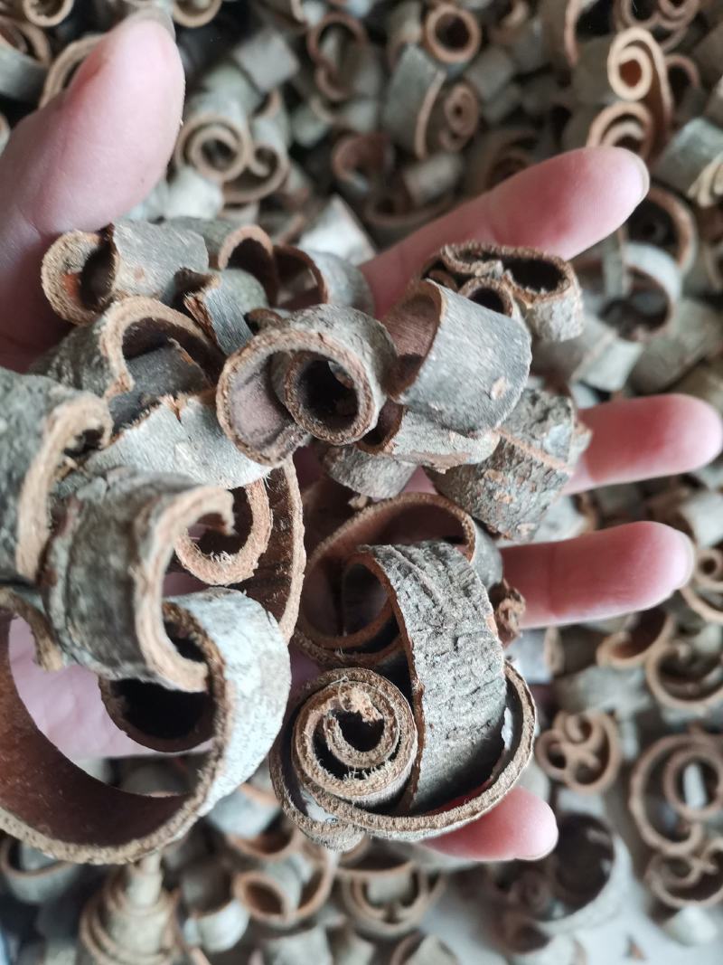 厚朴四川量大从优过筛无沫
