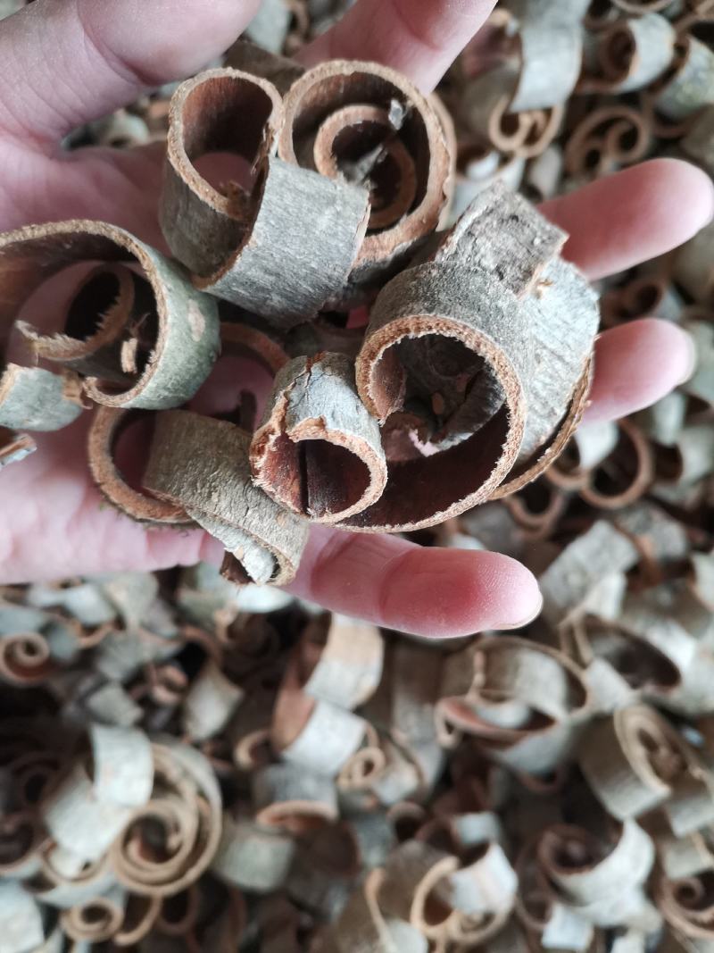 厚朴四川量大从优过筛无沫