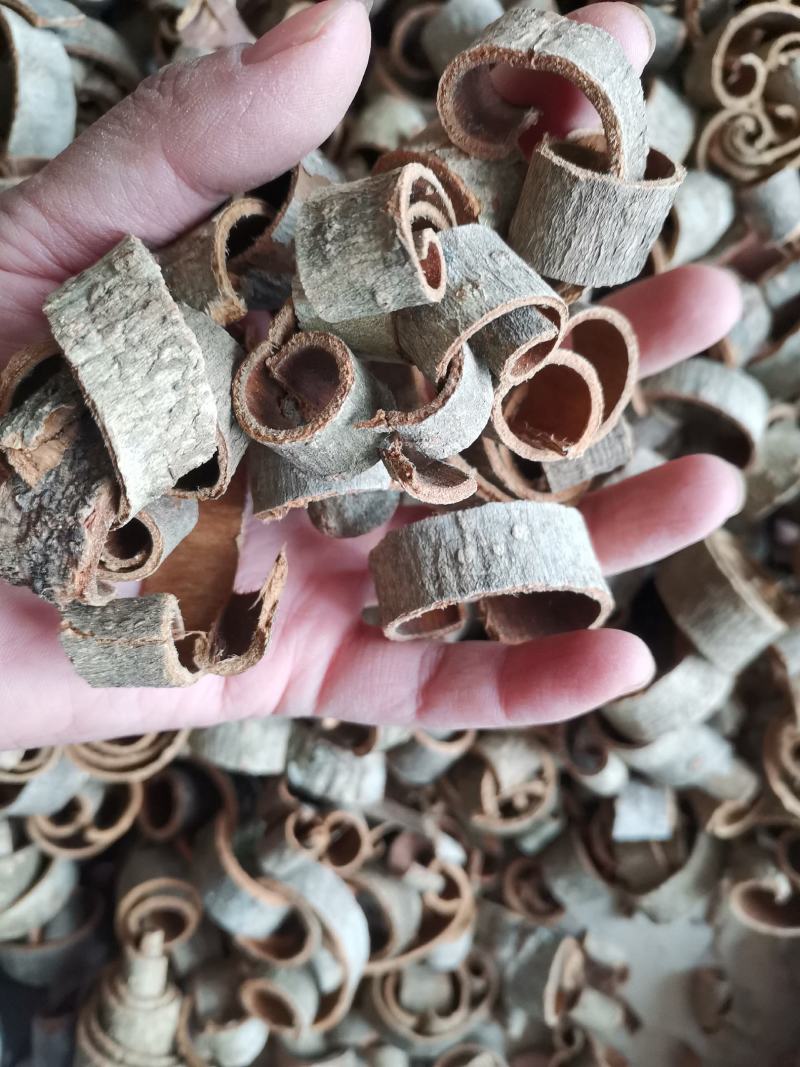 厚朴四川量大从优过筛无沫