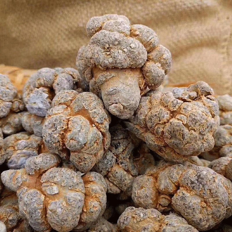 云南文山三七头包邮多头可选质量保证当天发货