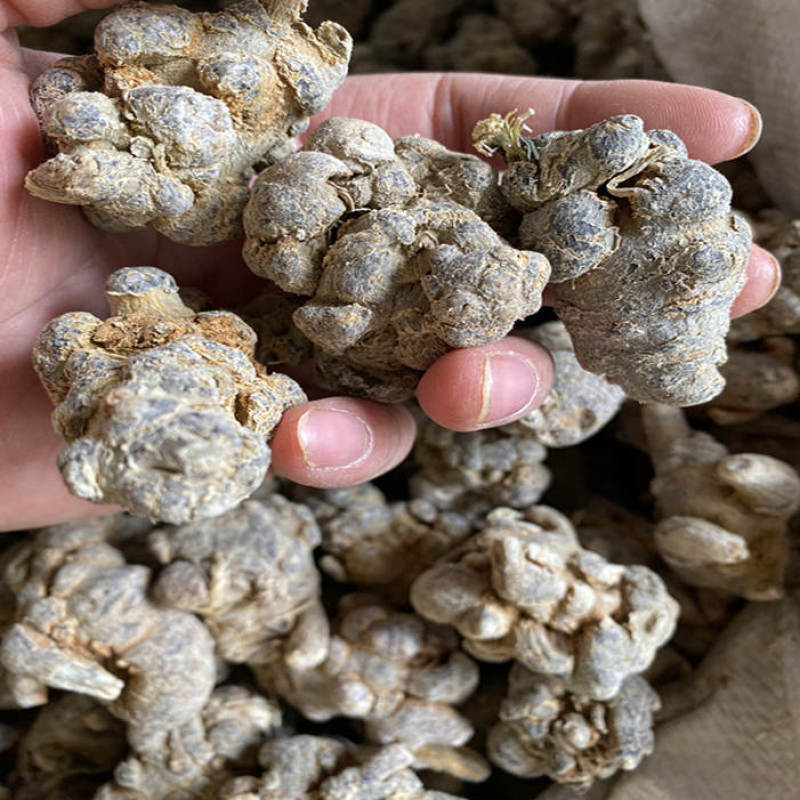 云南文山三七头包邮多头可选质量保证当天发货