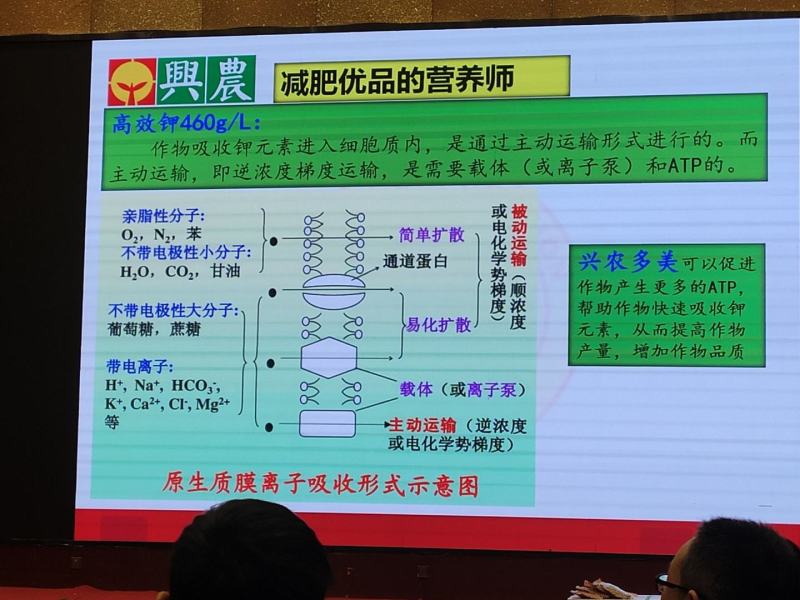 亚磷酸钾兴农多美杀菌补肥药肥一体比重高飞防助剂