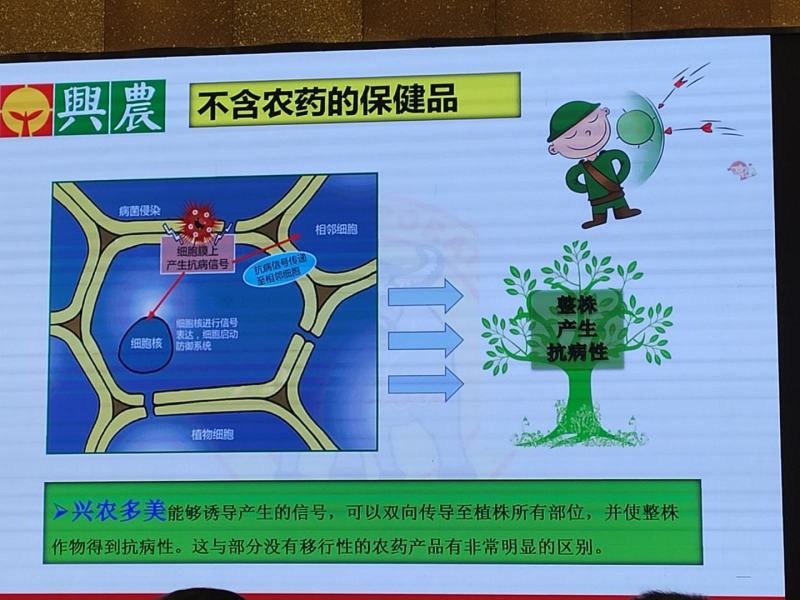 亚磷酸钾兴农多美杀菌补肥药肥一体比重高飞防助剂