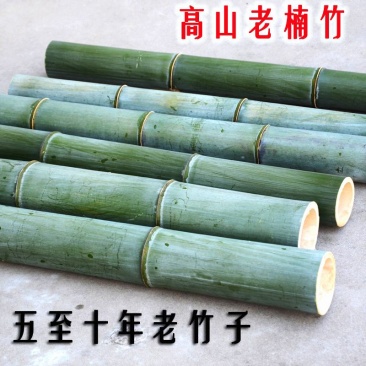 毛竹竹筒竹子材料楠竹竹筒竹筒饭蒸筒竹筒碗杯子花园竹筒流水