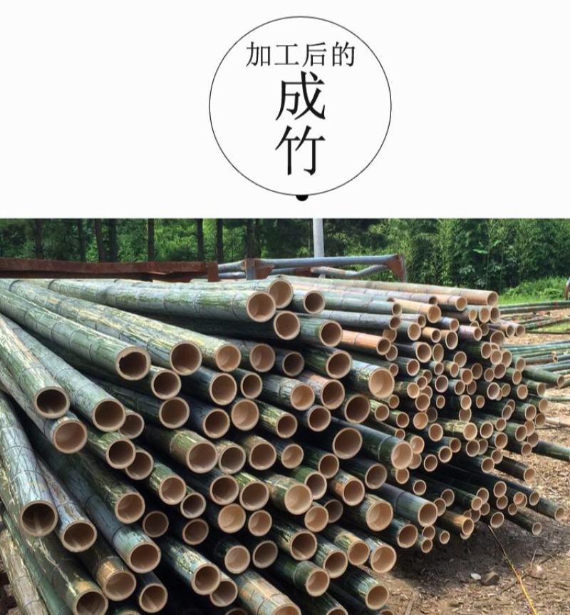 毛竹竹筒竹子材料楠竹竹筒竹筒饭蒸筒竹筒碗杯子花园竹筒流水