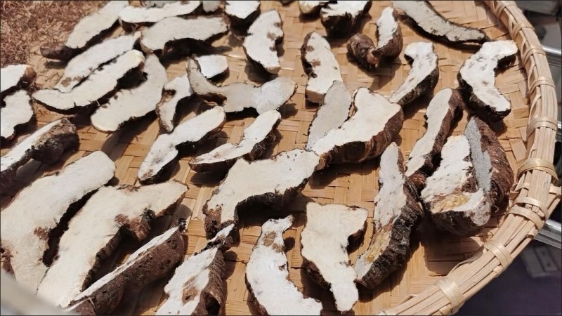 中药材重楼快递当天发货（个头大）质量保证