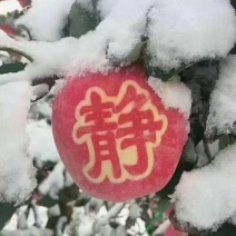 静宁苹果上市啦初雪️过后更有一般滋味送