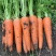 胡萝卜胶州市丰硕家庭农场自产直销