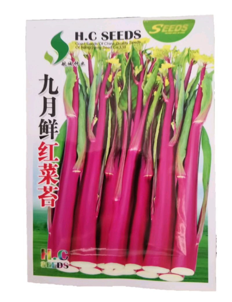 红菜苔高产优质种子