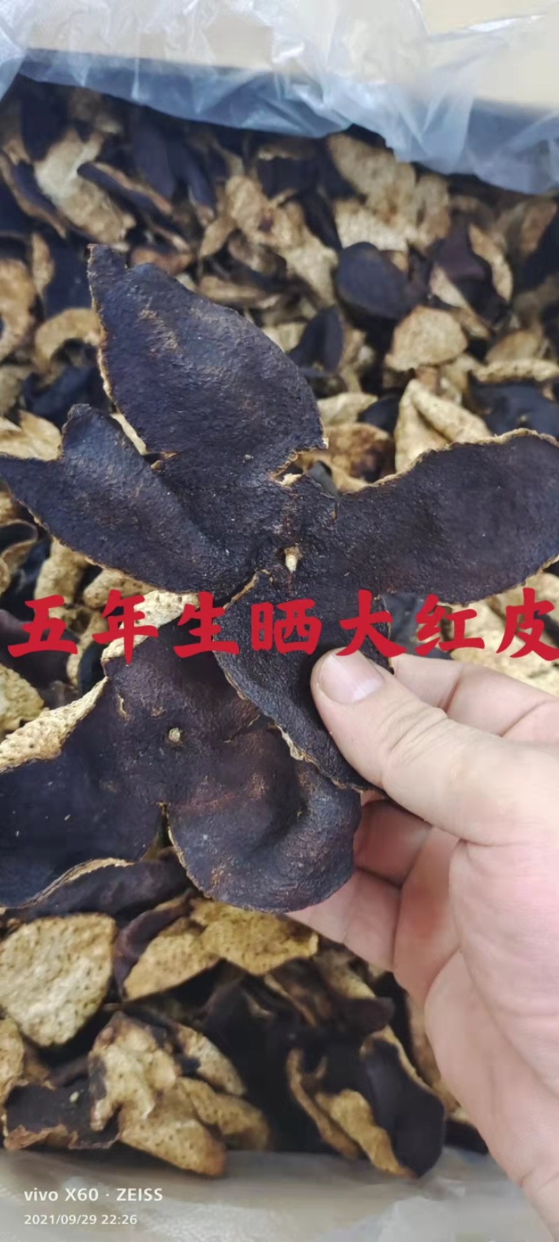陈皮新会足十年足八年足五年一手货源，大量批发。省内包邮