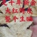 陈皮新会足十年足八年足五年一手货源，大量批发。省内包邮