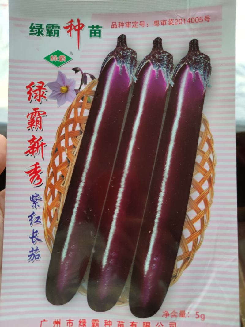 绿霸新秀茄子种子，1000粒深紫红色中早熟果顺直美观