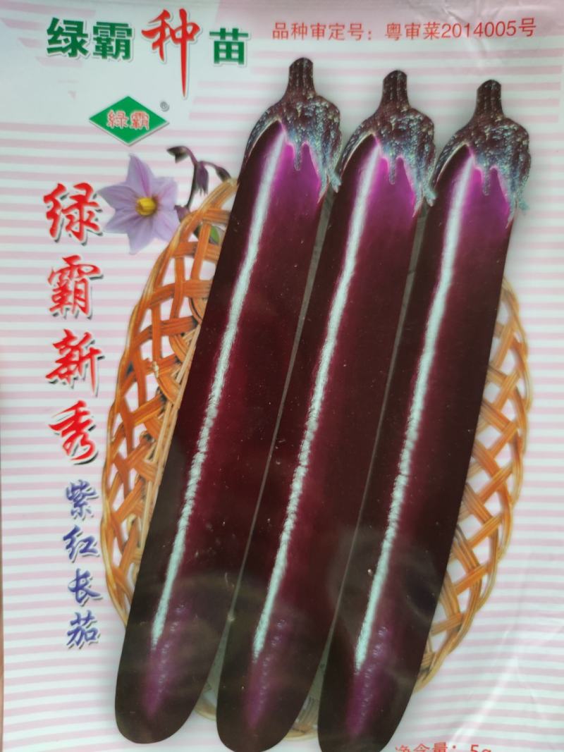 绿霸新秀茄子种子，1000粒深紫红色中早熟果顺直美观