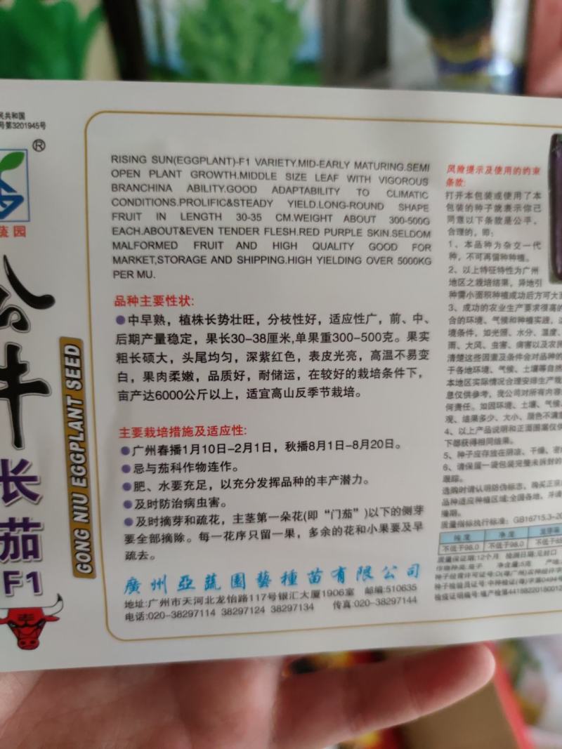 公牛长茄茄子种子，头尾均匀,深紫红色,表皮光亮1000粒