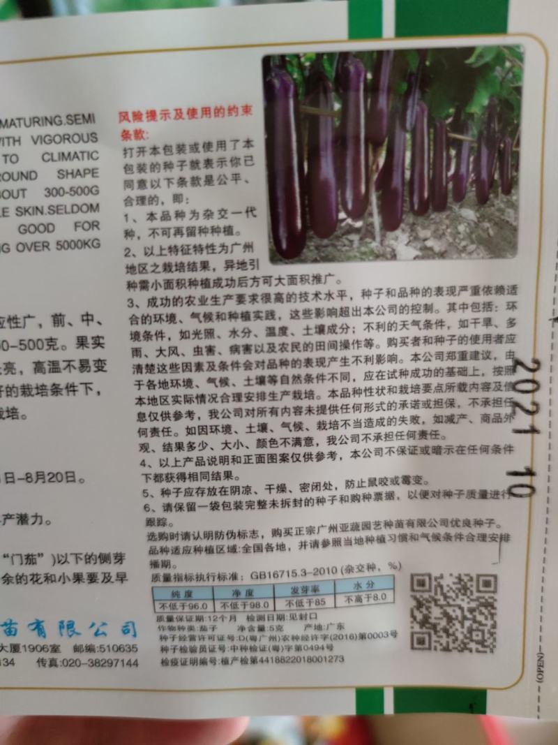 公牛长茄茄子种子，头尾均匀,深紫红色,表皮光亮1000粒