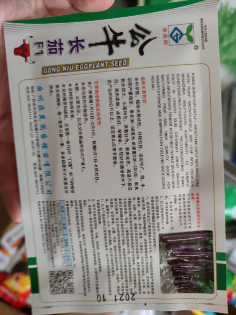公牛长茄茄子种子，头尾均匀,深紫红色,表皮光亮1000粒