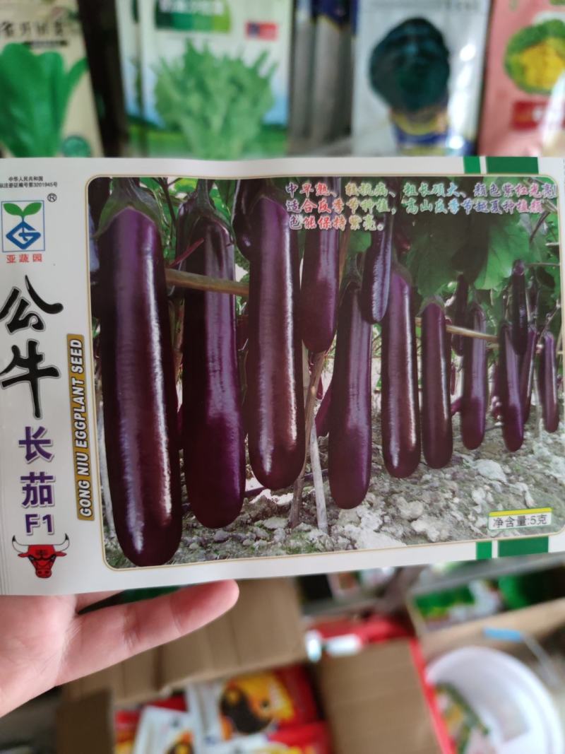 公牛长茄茄子种子，头尾均匀,深紫红色,表皮光亮1000粒