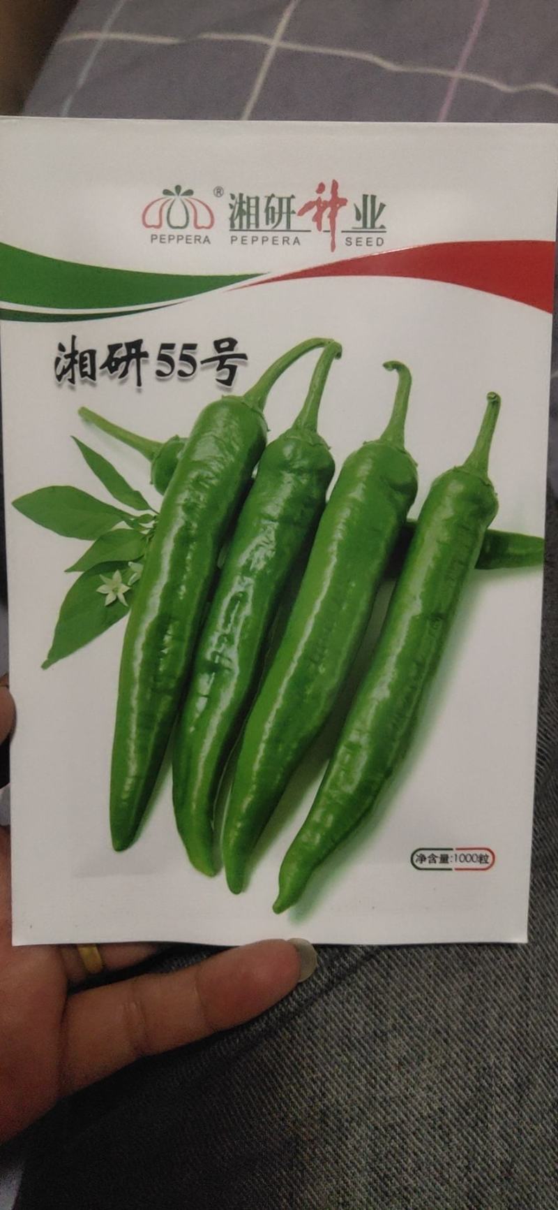 地基55号辣，55号，皱皱皮，软香辣，皱辣，欢迎收购