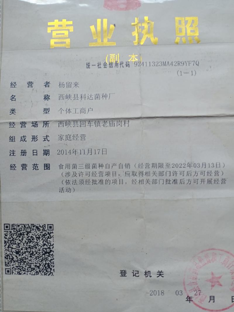 羊肚菌种