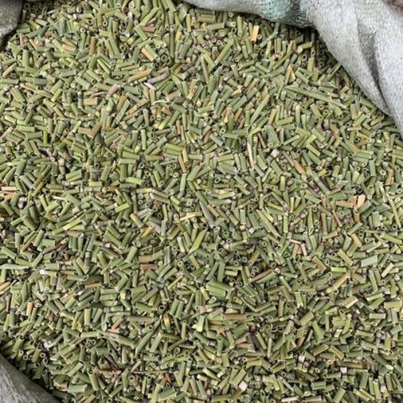木贼草，问荆草，节节草新货质量保证，欢迎咨询选购
