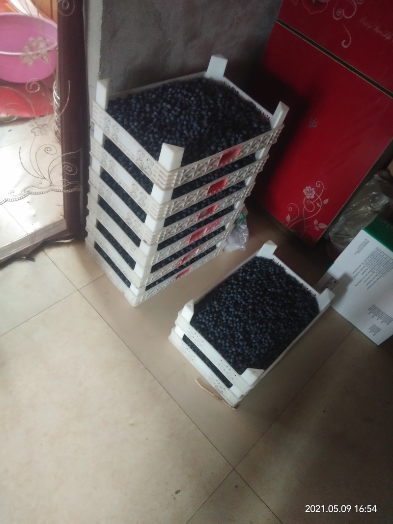 保健水果