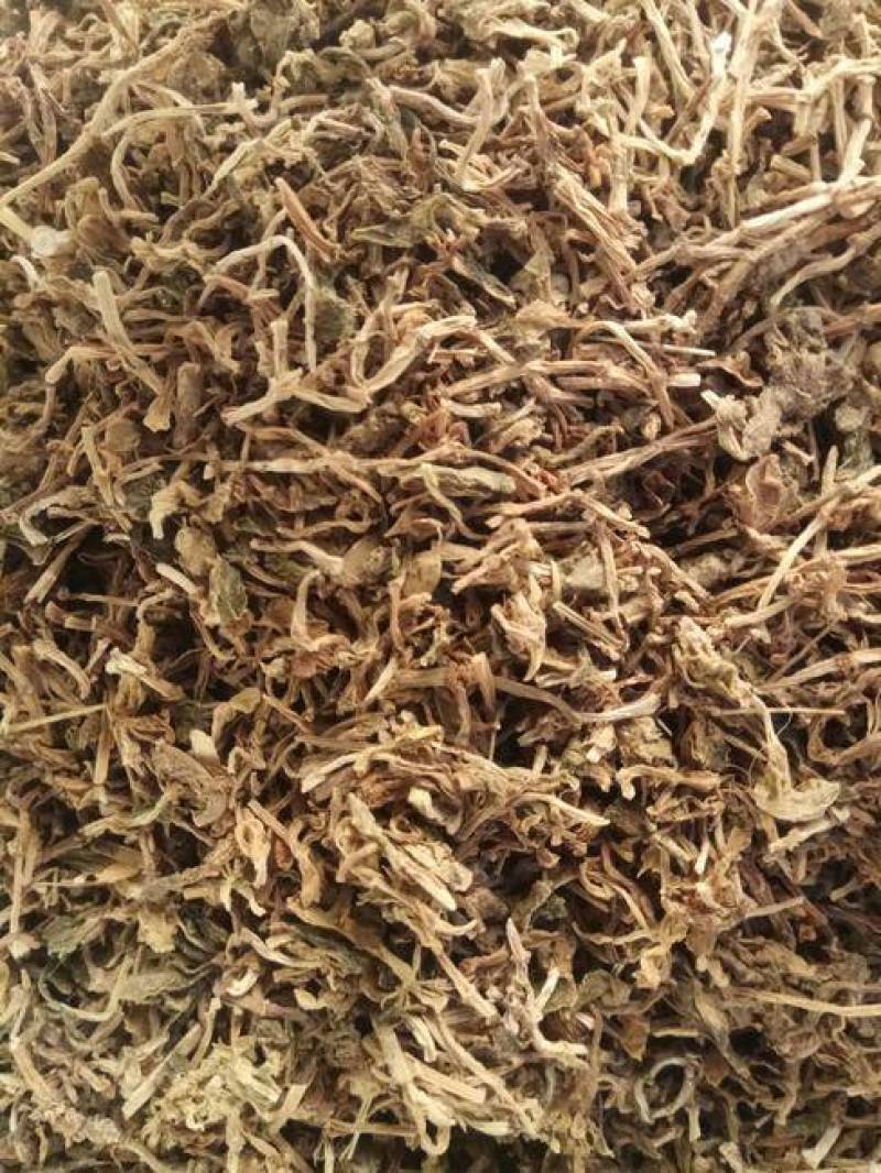 垂盆草，正品野生无硫水洗垂盆草新货，欢迎咨询选购！