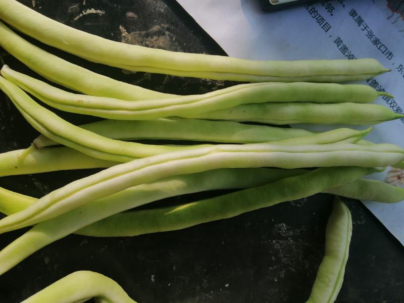 豆角