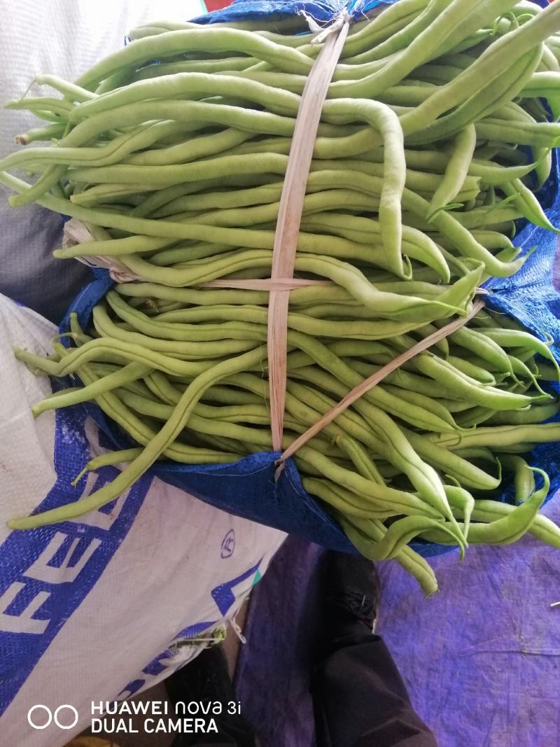 豆角