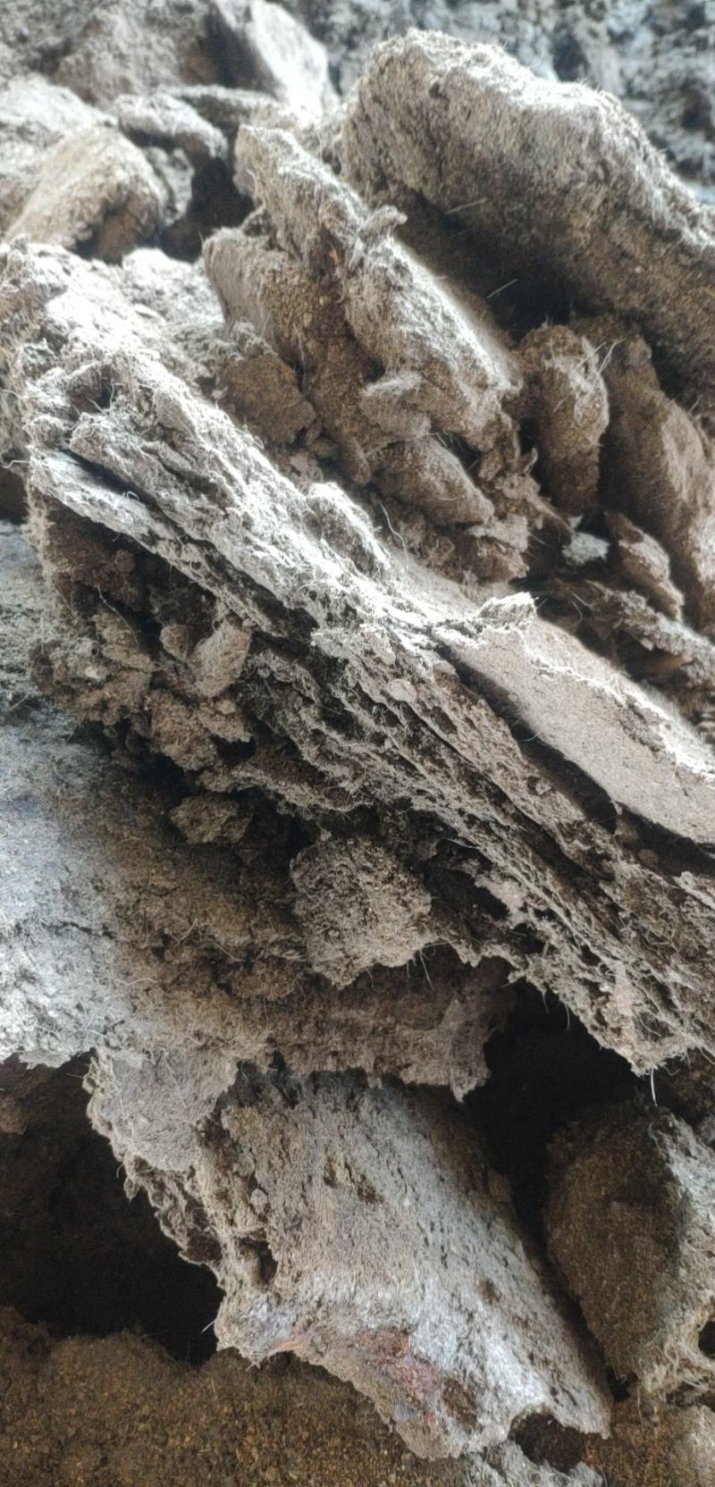 古浪县海子滩纯羊粪，大量出售，纯羊板砖，