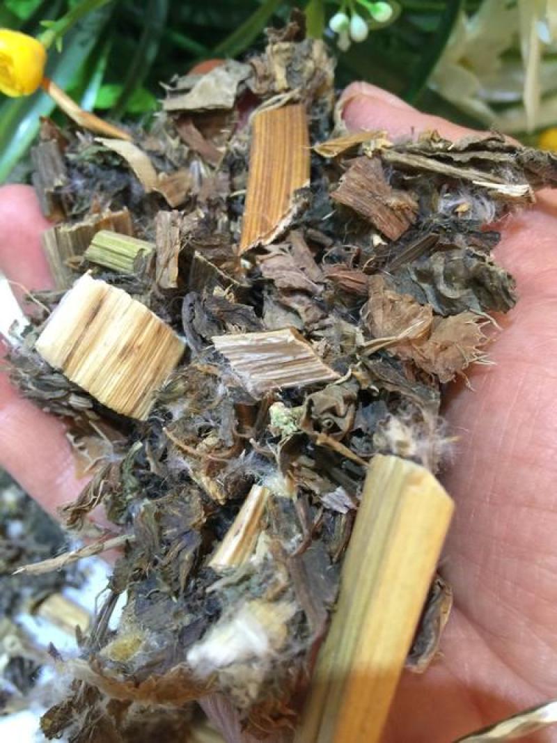 大蓟，正品野生新货大蓟，经营各种中药材欢迎咨询选购！