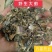 大蓟，正品野生新货大蓟，经营各种中药材欢迎咨询选购！
