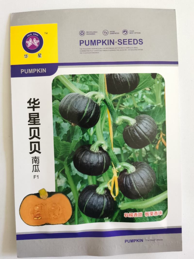 贝贝南瓜种子改良大果坐果好软糯香甜春秋基地品种