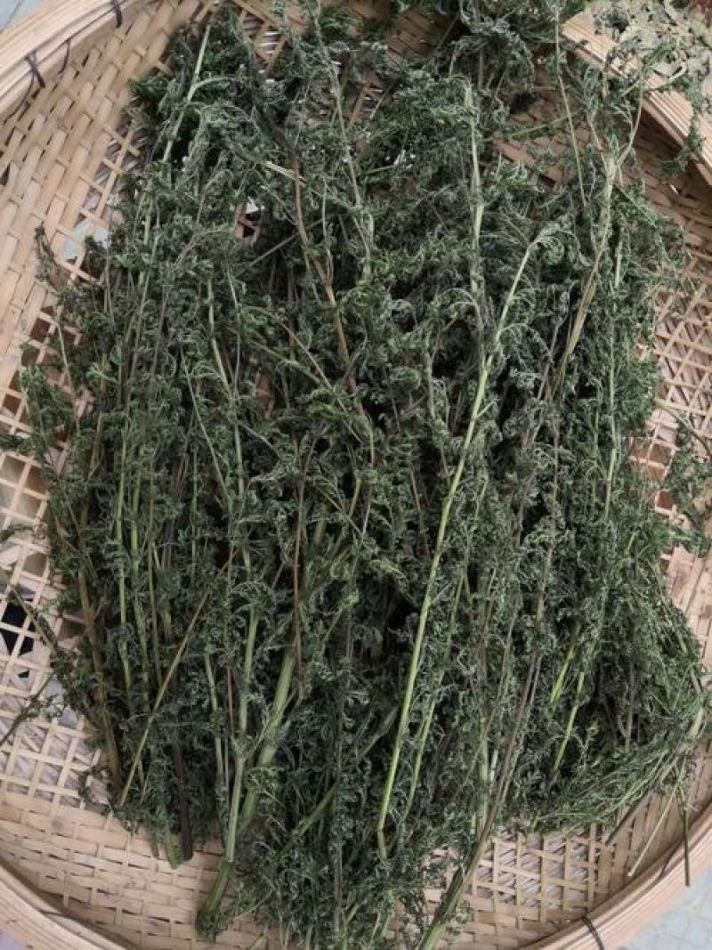 青蒿，正品野生青蒿新货质量保证，经营各种中药材欢迎选购
